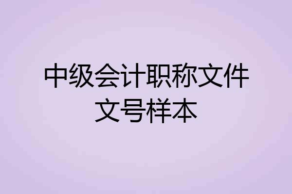 中级会计职称文件文号样本