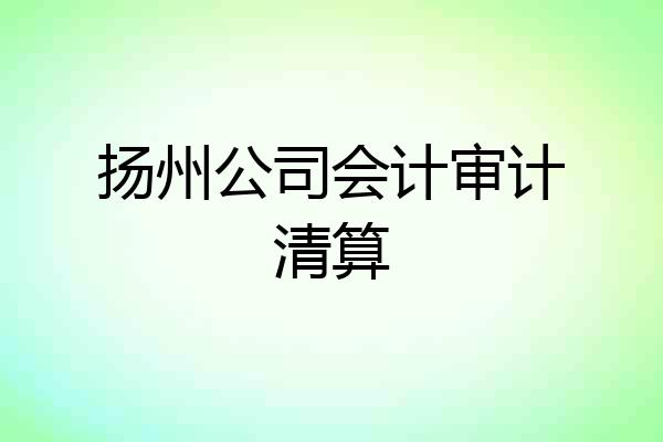 扬州公司会计审计清算
