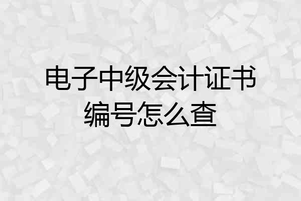 电子中级会计证书编号怎么查