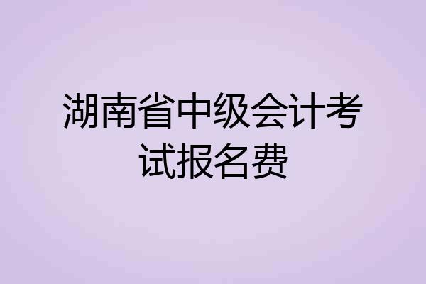 湖南省中级会计考试报名费