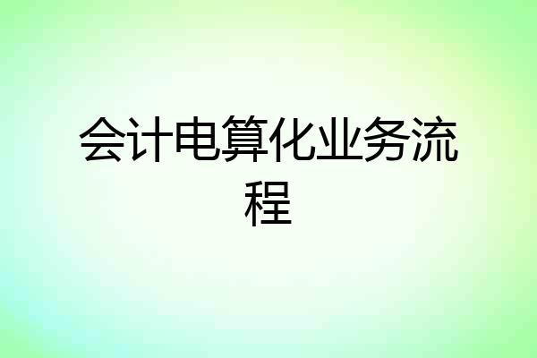 会计电算化业务流程