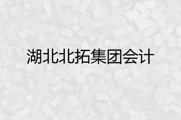 湖北北拓集团会计