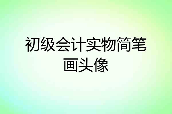 初级会计实物简笔画头像