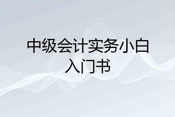 中级会计实务小白入门书