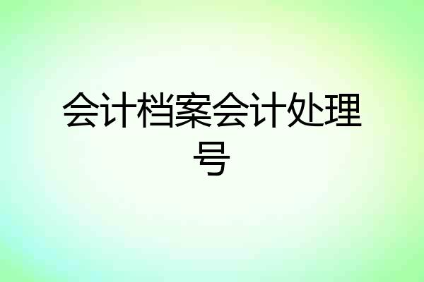 会计档案会计处理号