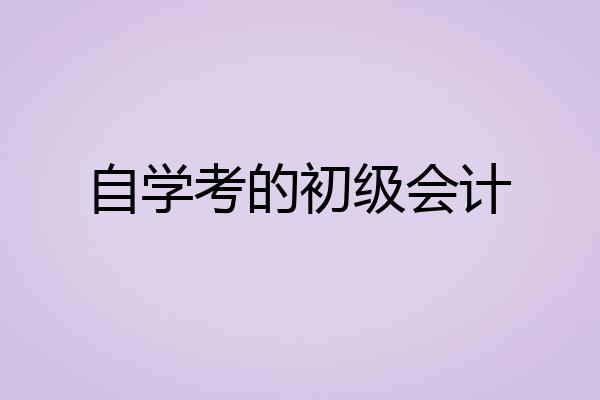 自学考的初级会计