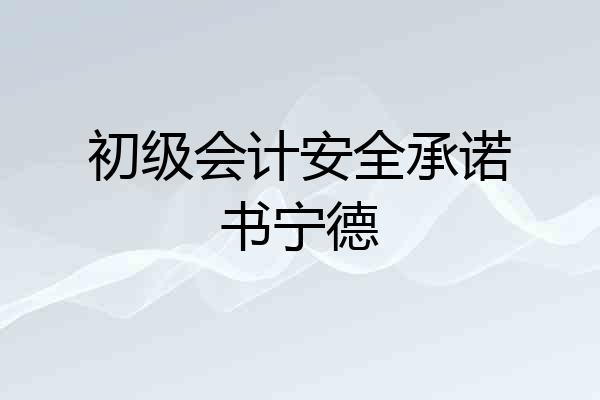 初级会计安全承诺书宁德