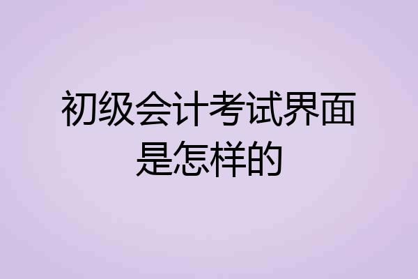 初级会计考试界面是怎样的
