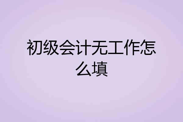 初级会计无工作怎么填