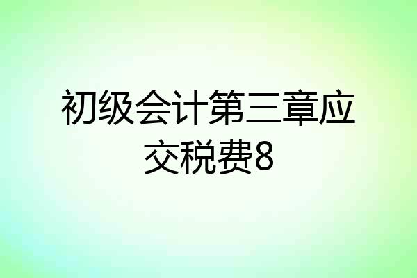 初级会计第三章应交税费8