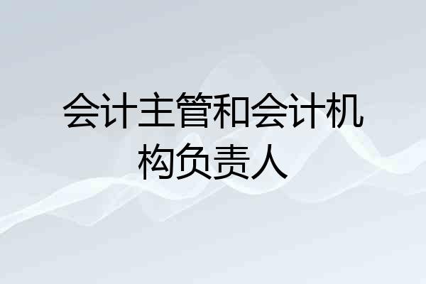 会计主管和会计机构负责人