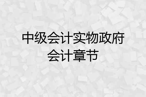 中级会计实物政府会计章节