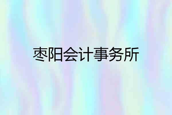 枣阳会计事务所