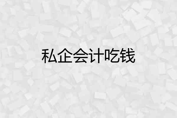 私企会计吃钱