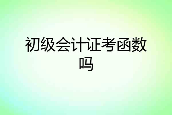 初级会计证考函数吗