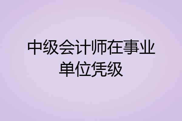 中级会计师在事业单位凭级