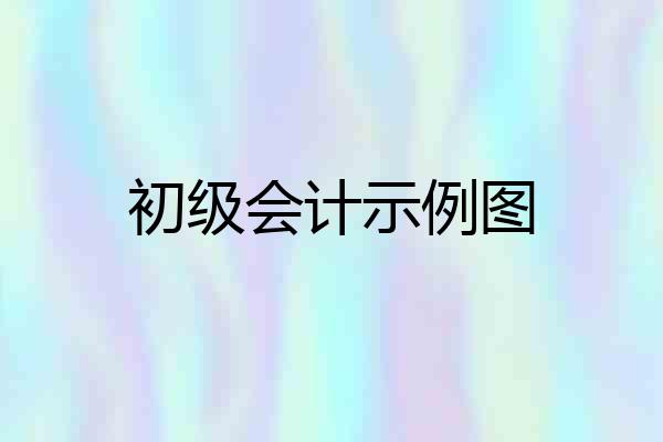 初级会计示例图