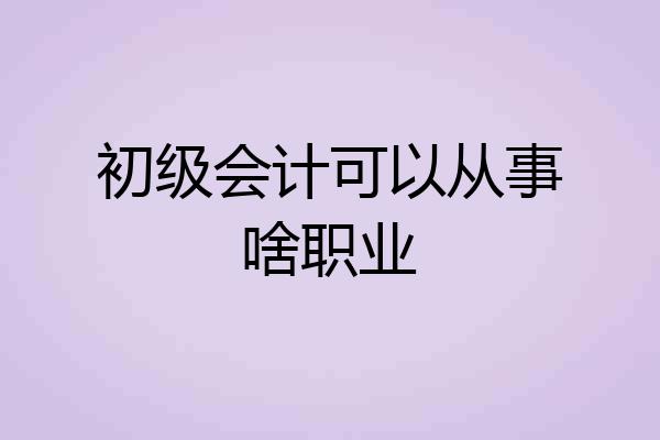 初级会计可以从事啥职业