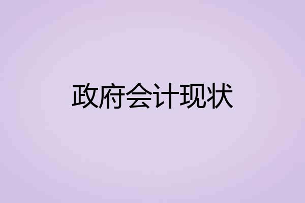 政府会计现状
