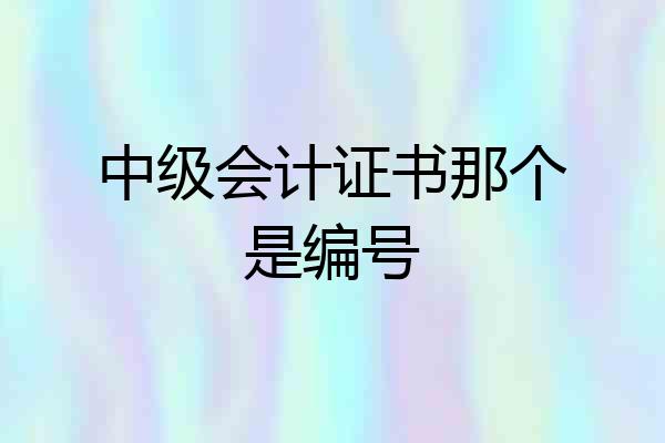 中级会计证书那个是编号