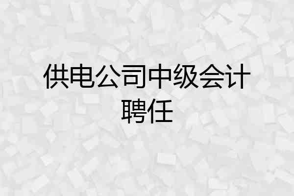 供电公司中级会计聘任