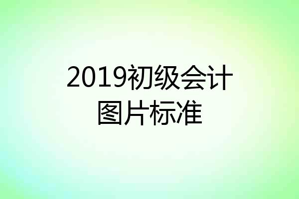 2019初级会计图片标准