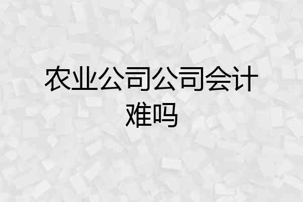 农业公司公司会计难吗