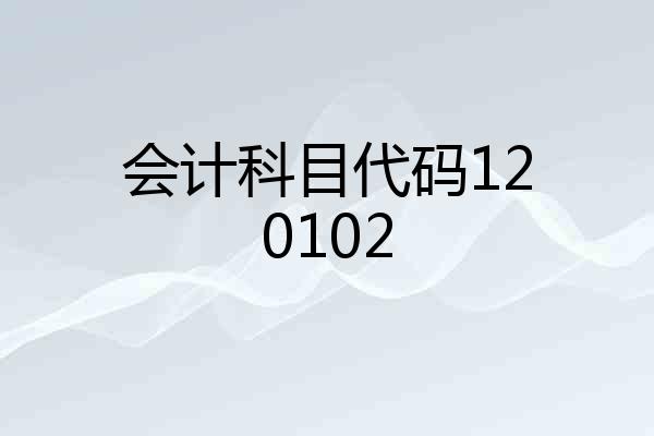 会计科目代码120102