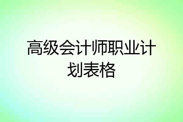 高级会计师职业计划表格