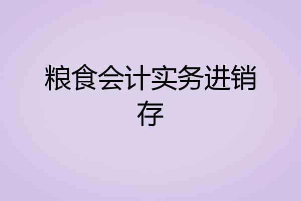 粮食会计实务进销存