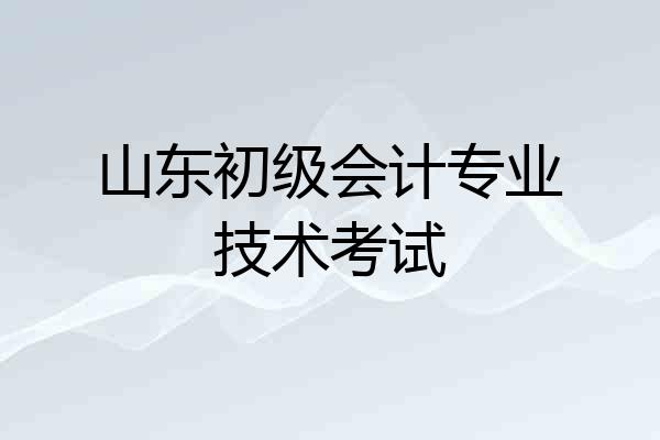 山东初级会计专业技术考试