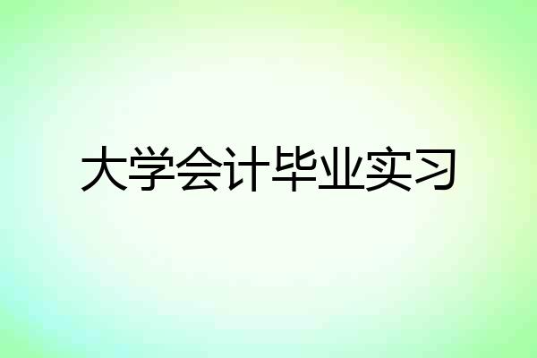 大学会计毕业实习