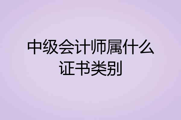 中级会计师属什么证书类别