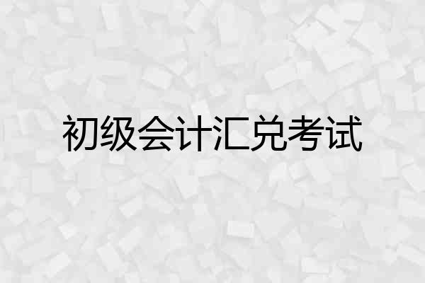初级会计汇兑考试