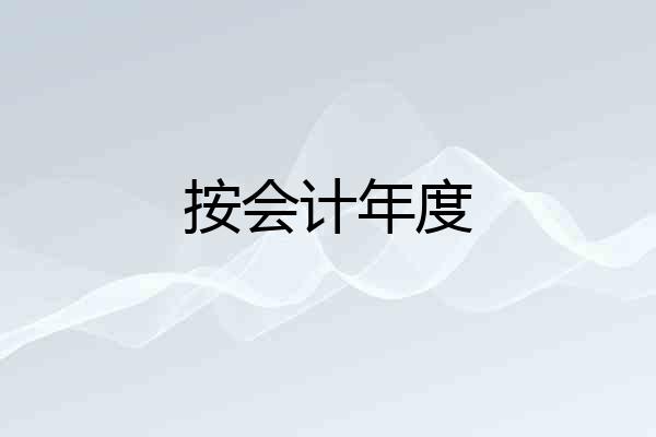按会计年度