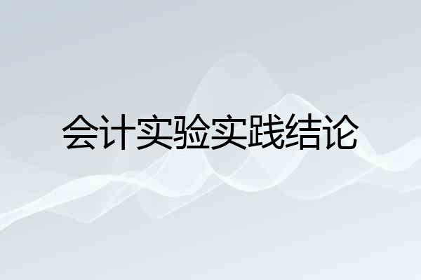 会计实验实践结论