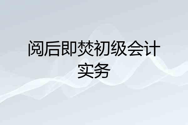 阅后即焚初级会计实务