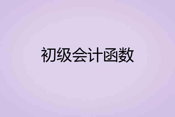 初级会计函数