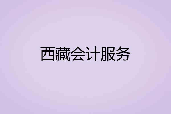西藏会计服务