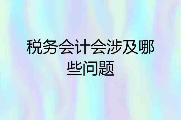 税务会计会涉及哪些问题