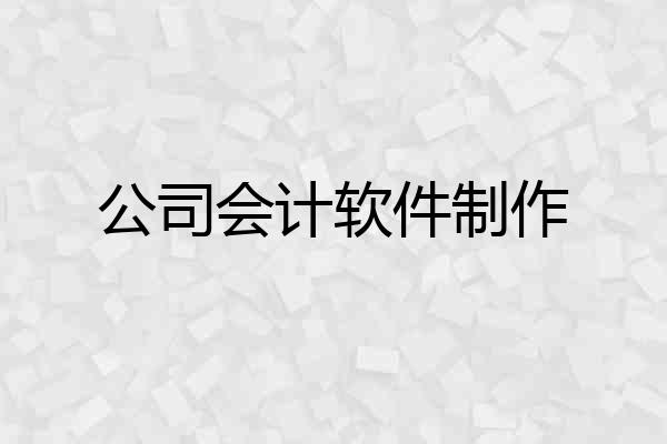 公司会计软件制作