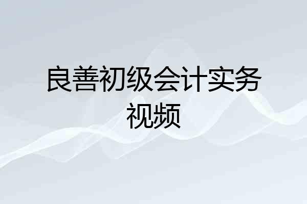 良善初级会计实务视频