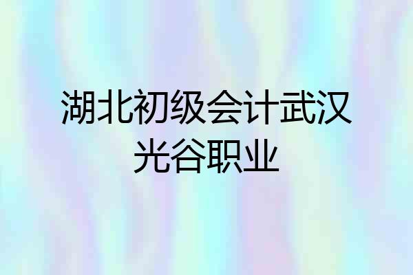 湖北初级会计武汉光谷职业