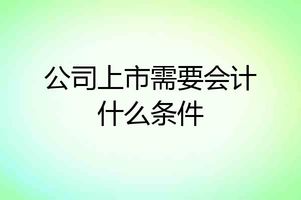 公司上市需要会计什么条件