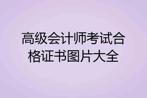 高级会计师考试合格证书图片大全