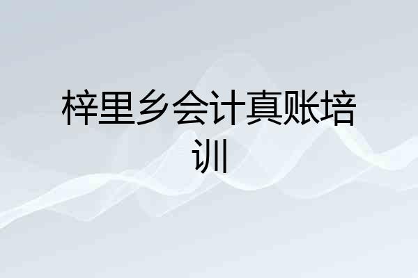 梓里乡会计真账培训
