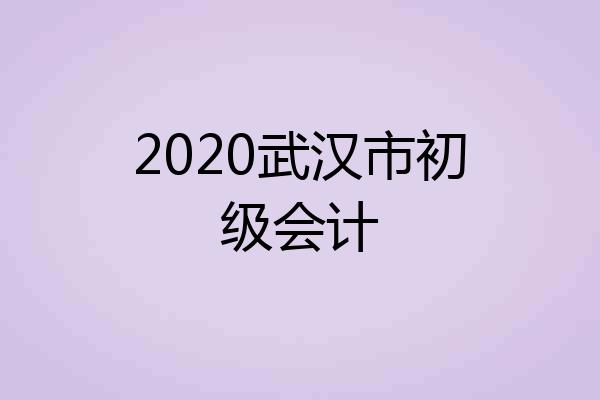 2020武汉市初级会计