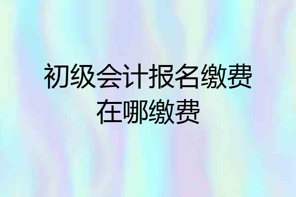 初级会计报名缴费在哪缴费