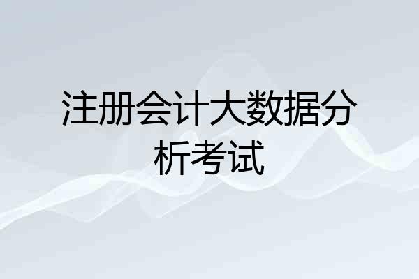 注册会计大数据分析考试