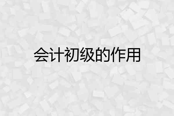 会计初级的作用